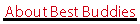 About Best Buddies